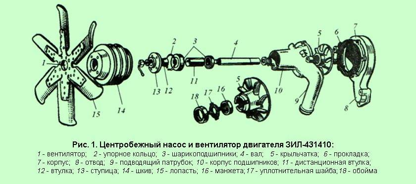 Схема помпы автомобиля