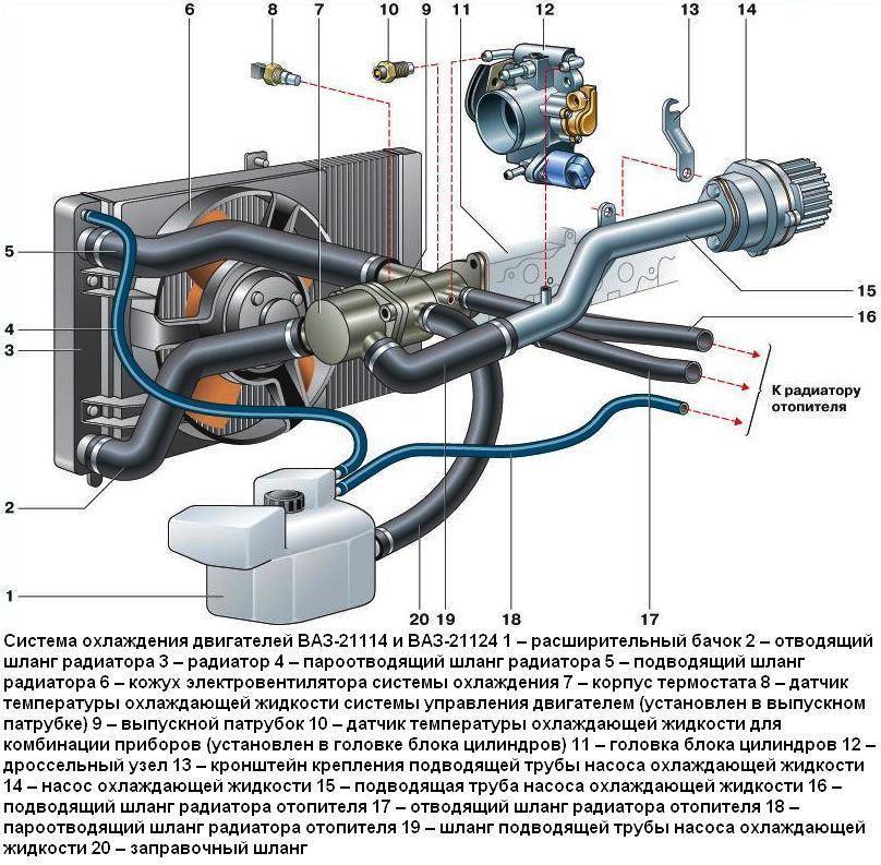 Ваз 2115 система охлаждения картинки