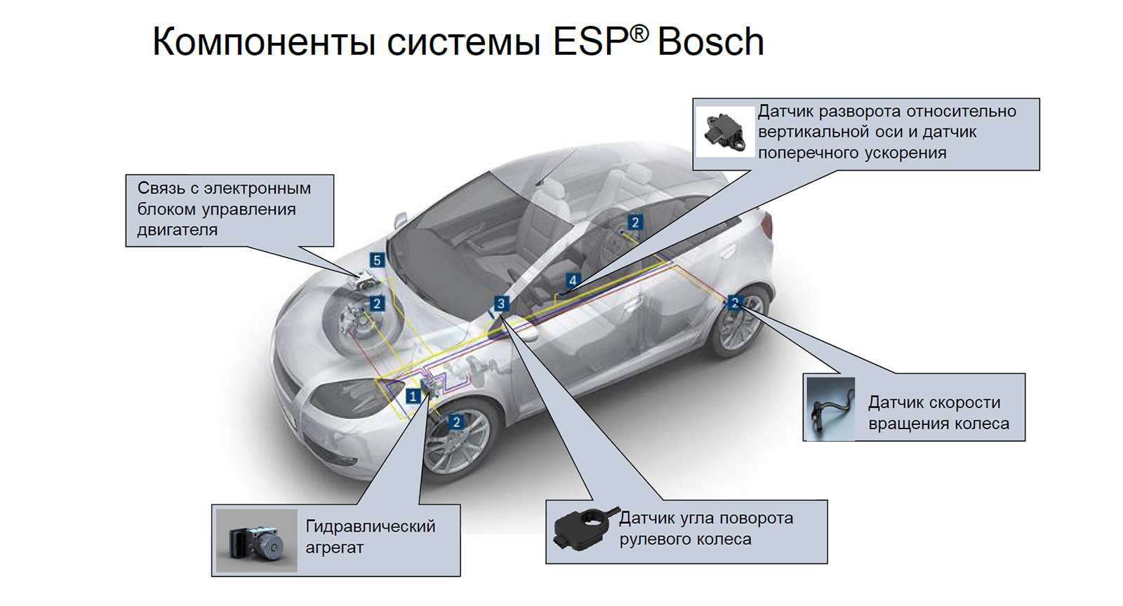 Esp или electronic stability program в машине: что это такое и как работает