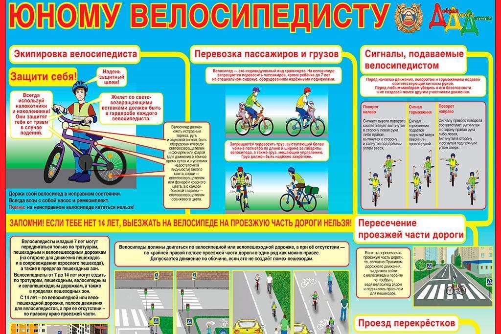Пдд: "правила езды на велосипеде" :: syl.ru