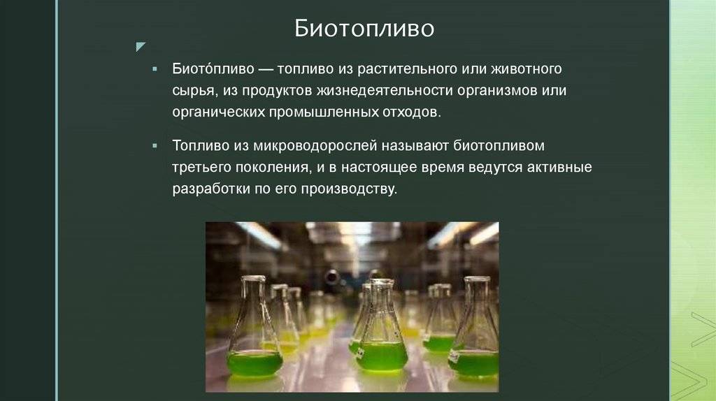Выйти в свет. почему биодизель уходит в европу, но не приживается в россии? - oilworld.ru - все масла мира