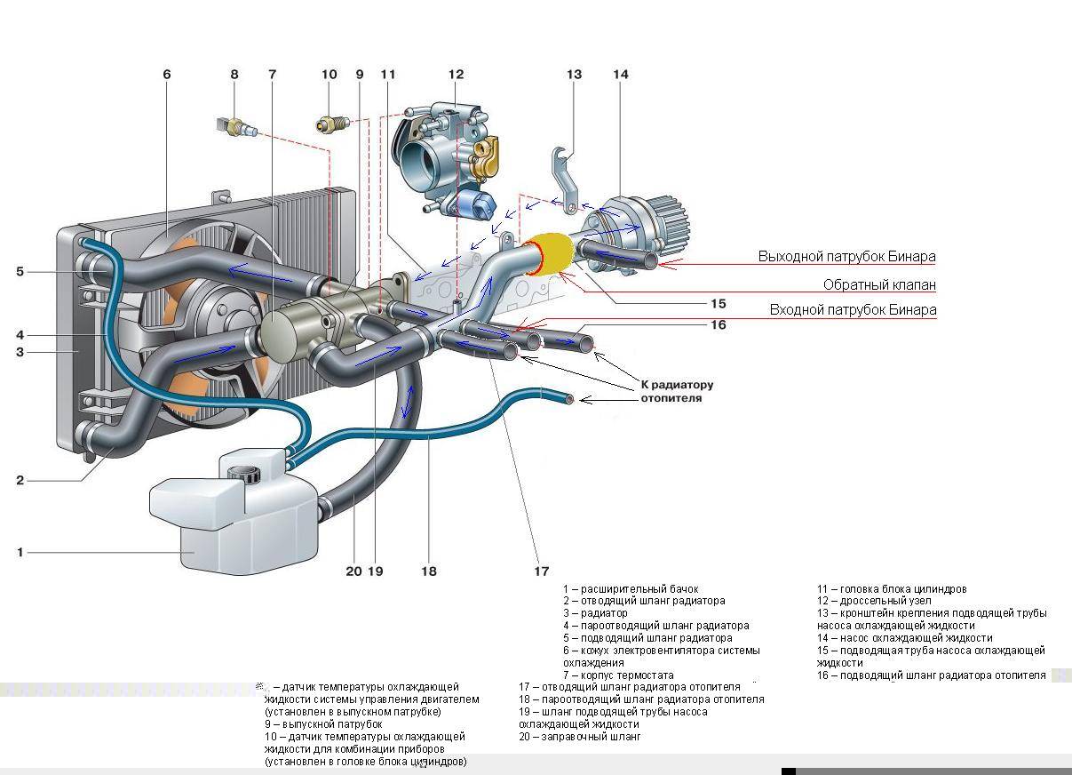 Схема охлаждения двигателя ваз 2110