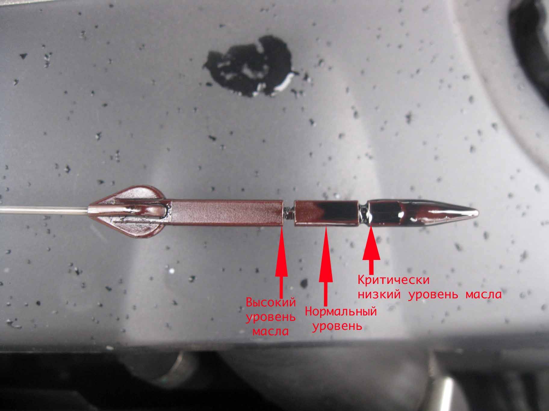 Как правильно проверить уровень масла в двигателе. Отметки на щупе уровня масла ВАЗ 2114. Уровень масла на щупе Приора 16 клапанная. Уровень масла в двигателе ВАЗ 2112. Масляный щуп БМВ е39 дизель.
