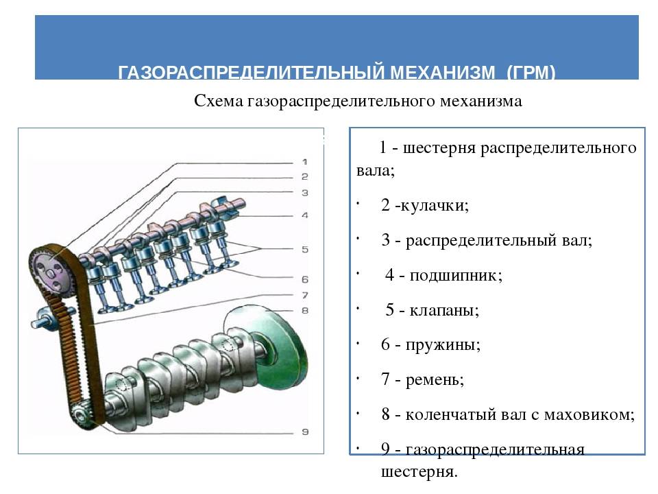 ᐉ газораспределительный механизм (грм). типы привода клапанов